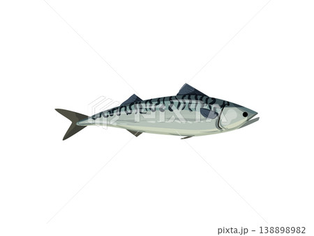 Mackerel Fish 138898982
