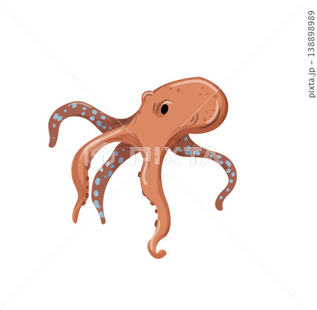 Octopus Octopus 138898989