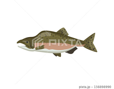 River Fish 138898990