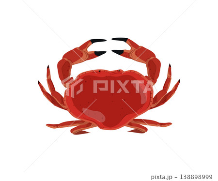 Red Crab 138898999