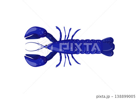 Blue Lobster 138899005
