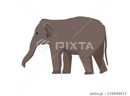Elephant Graphic Elephant Graphic 138899011