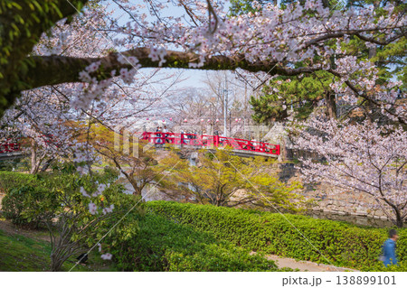 春の岡崎城、満開の桜〈愛知県岡崎市〉 138899101