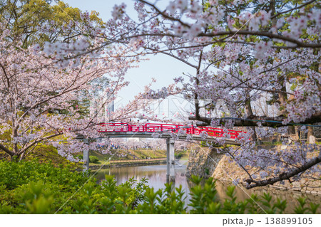 春の岡崎城、満開の桜〈愛知県岡崎市〉 138899105