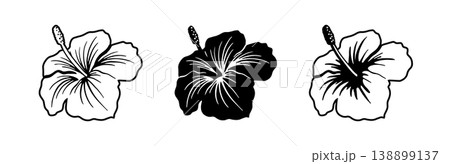 Silhouette tropical black hibiscus vector flowers set. Silhouette tropical black hibiscus vector flowers set. 138899137