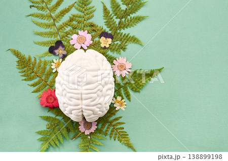 Mental Health Awareness Month. Brain model with natural elements for head health Mental Health Awareness Month. Brain model with natural elements for head health 138899198