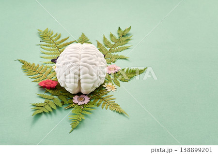 Mental Health Awareness Month. Brain model resting on fern leaves and dried flowers Mental Health Awareness Month. Brain model resting on fern leaves and dried flowers 138899201