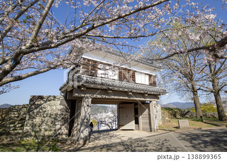 大分県臼杵市臼杵城の大門櫓と桜 大分県臼杵市臼杵城の大門櫓と桜 138899365