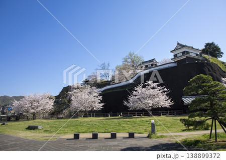 大分県臼杵市にある臼杵城と満開の桜 大分県臼杵市にある臼杵城と満開の桜 138899372