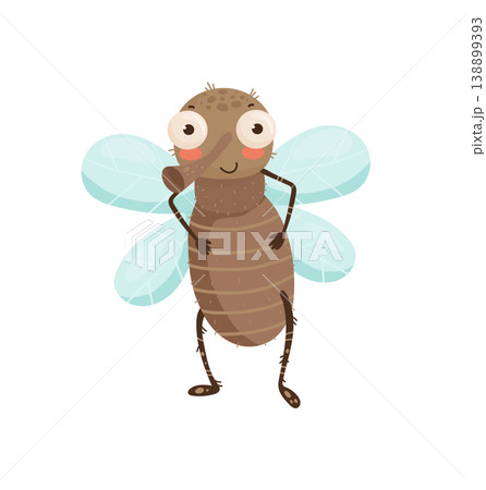 Cute Fly with Big Eyes Smiling 138899393