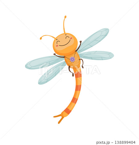 Smiling Dragonfly with Blue Wings 138899404
