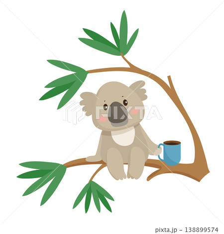Koala on Tree Branch 138899574