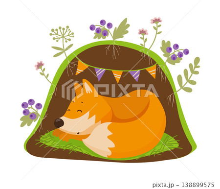 Foxes Sleeping in Den 138899575