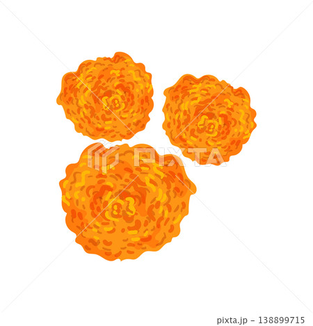 Marigold Flowers Trio Marigold Flowers Trio 138899715