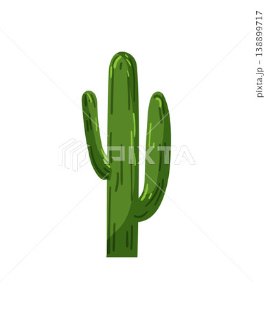 Green Cactus Plant 138899717