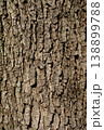 樹皮　ハンノキ 138899788