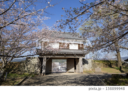 大分県臼杵市の臼杵城跡の大門櫓と満開の桜 大分県臼杵市の臼杵城跡の大門櫓と満開の桜 138899948
