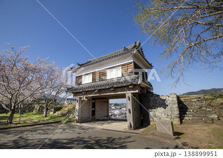 大分県臼杵市の臼杵城跡の大門櫓と満開の桜 138899951