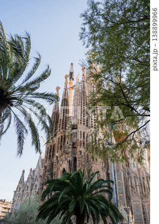 Sagrada Familia basilica with palm trees and blue sky in Barcelona Spain 138899966
