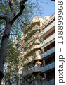 Residential apartment building with balconies and trees in sunny street in Barcelona Spain 138899968