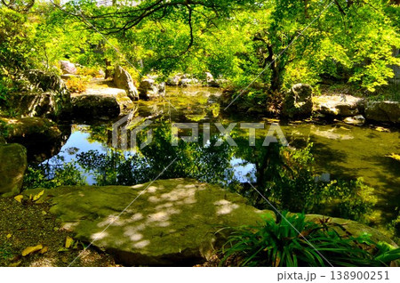 Traditional Japanese garden Traditional Japanese garden 138900251