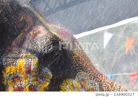 close up of elephant face with water falling texture and background 138900327