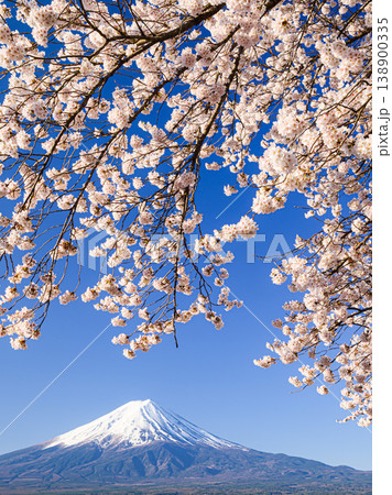 日本の春・河口湖に咲く満開の桜と富士山の共演 日本の春・河口湖に咲く満開の桜と富士山の共演 138900335