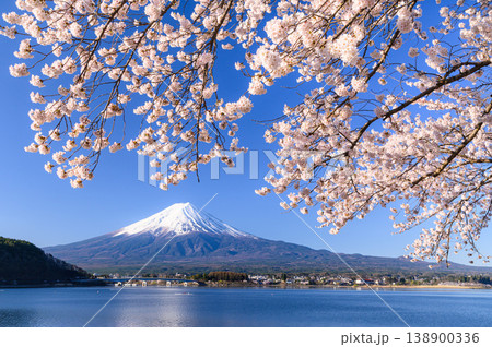 日本の春・河口湖に咲く満開の桜と富士山の共演 日本の春・河口湖に咲く満開の桜と富士山の共演 138900336