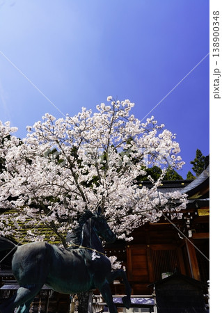奈良 川上村 春の青空に映える満開の桜 138900348