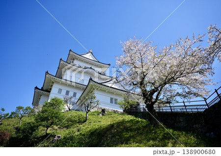 小田原城（神奈川県小田原市） 138900680