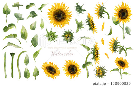 水彩画のひまわりの装飾・パーツ素材セット 138900829