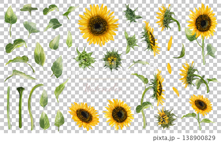水彩画のひまわりの装飾・パーツ素材セット 138900829