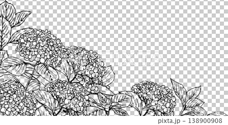Line art hydrangea background illustration 138900908