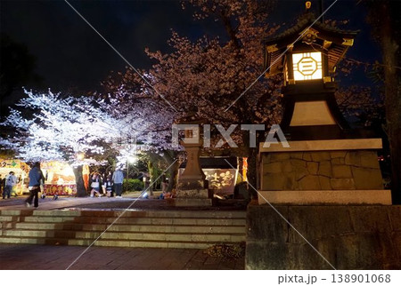 神社の夜桜 神社の夜桜 138901068