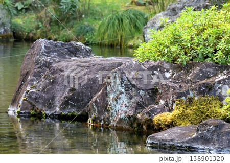 The scenery of the pond in the Japanese garden The scenery of the pond in the Japanese garden 138901320