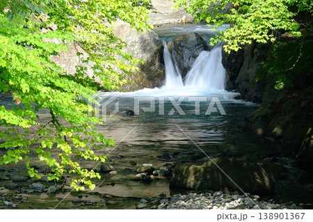 【神奈川県】新緑に包まれた小さな滝 138901367