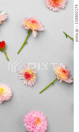 Flowers in different colors arranged on a light gray surface for decoration and design Flowers in different colors arranged on a light gray surface for decoration and design 138902174