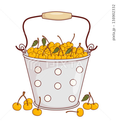 Metal Vintage Bucket With Ripe Yellow Sweet Cherries. Rustic Fresh Summer Harvest. Eco Friendly Organic Food Fruit In Enamel Pail Polka Dot. Vector Illustration. Countryside Lifestyle, Garden 138902332