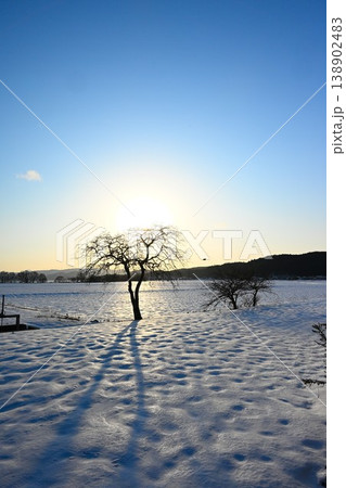 雪に覆われた大地と夕日のシルエット（福島県猪苗代町） 138902483