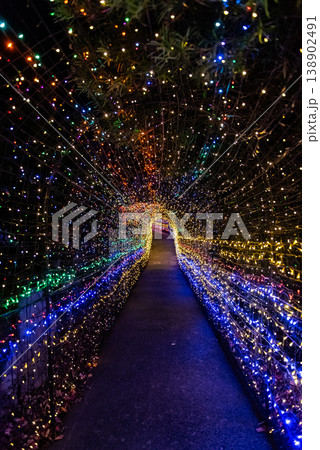 イルミネーション ~静岡・伊豆グランパル公園・36~ イルミネーション ~静岡・伊豆グランパル公園・36~ 138902491