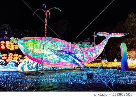 イルミネーション　～静岡・伊豆グランパル公園・9～ 138902503