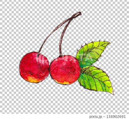 水彩イラスト さくらんぼ 2つ 水彩イラスト さくらんぼ 2つ 138902691
