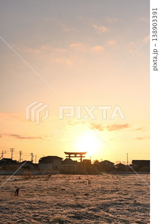 黄金色の空に浮かぶ弥彦大鳥居(新潟県弥彦村) 黄金色の空に浮かぶ弥彦大鳥居(新潟県弥彦村) 138903391