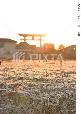 黄金色の空に浮かぶ弥彦大鳥居(新潟県弥彦村) 黄金色の空に浮かぶ弥彦大鳥居(新潟県弥彦村) 138903396