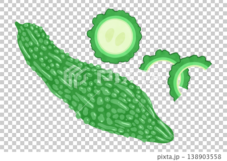 手繪風格苦瓜向量圖 138903558