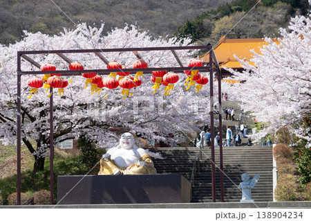 満開の桜が咲く佛光山法水寺 満開の桜が咲く佛光山法水寺 138904234