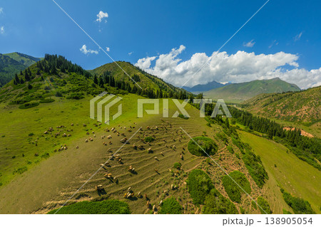 Herd of sheep grazing in serene rural landscape of Kyrgyzstan Herd of sheep grazing in serene rural landscape of Kyrgyzstan 138905054