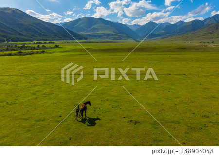 Adult horse and foal grazing in green field with mountains Adult horse and foal grazing in green field with mountains 138905058