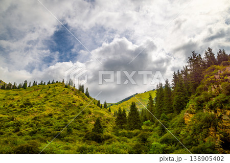 Majestic landscape of mountains and evergreen trees in Kyrgyzstan Majestic landscape of mountains and evergreen trees in Kyrgyzstan 138905402
