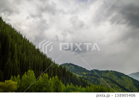 Moody mountain landscape with forest and cloudy sky Moody mountain landscape with forest and cloudy sky 138905406